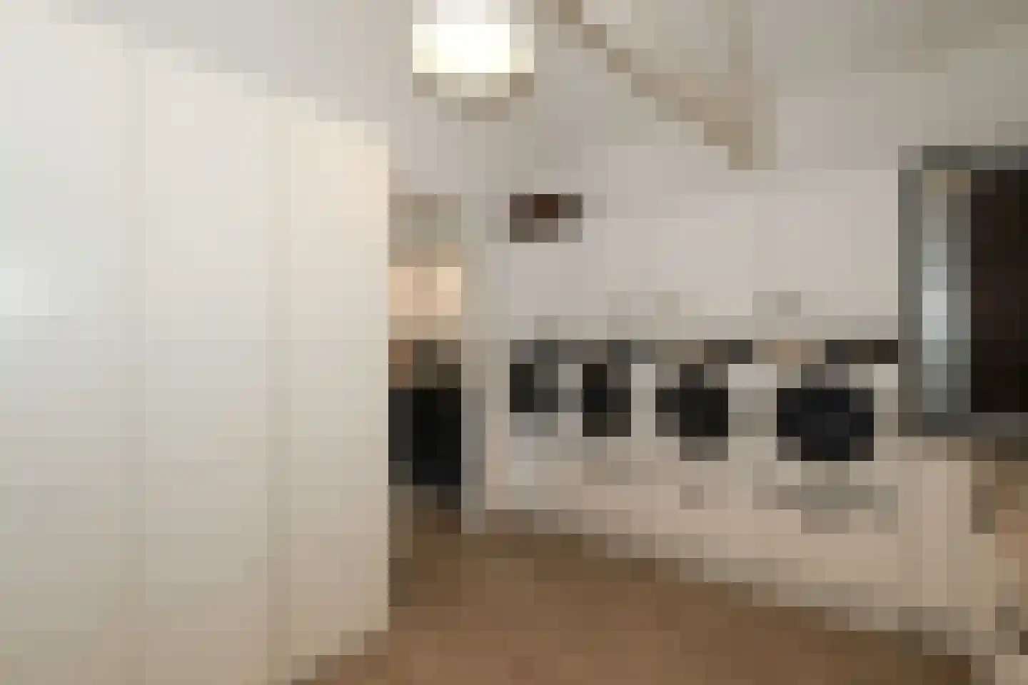 Dorpsweg 48 Rockanje thumbnail 34