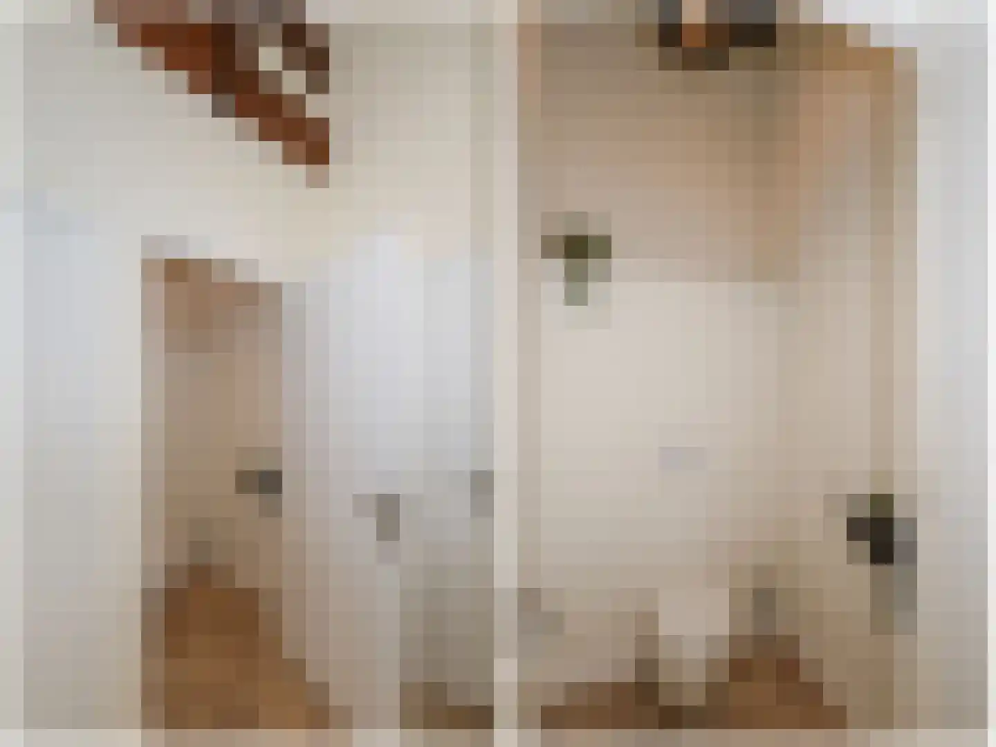 Dorpsweg 48 Rockanje thumbnail 35