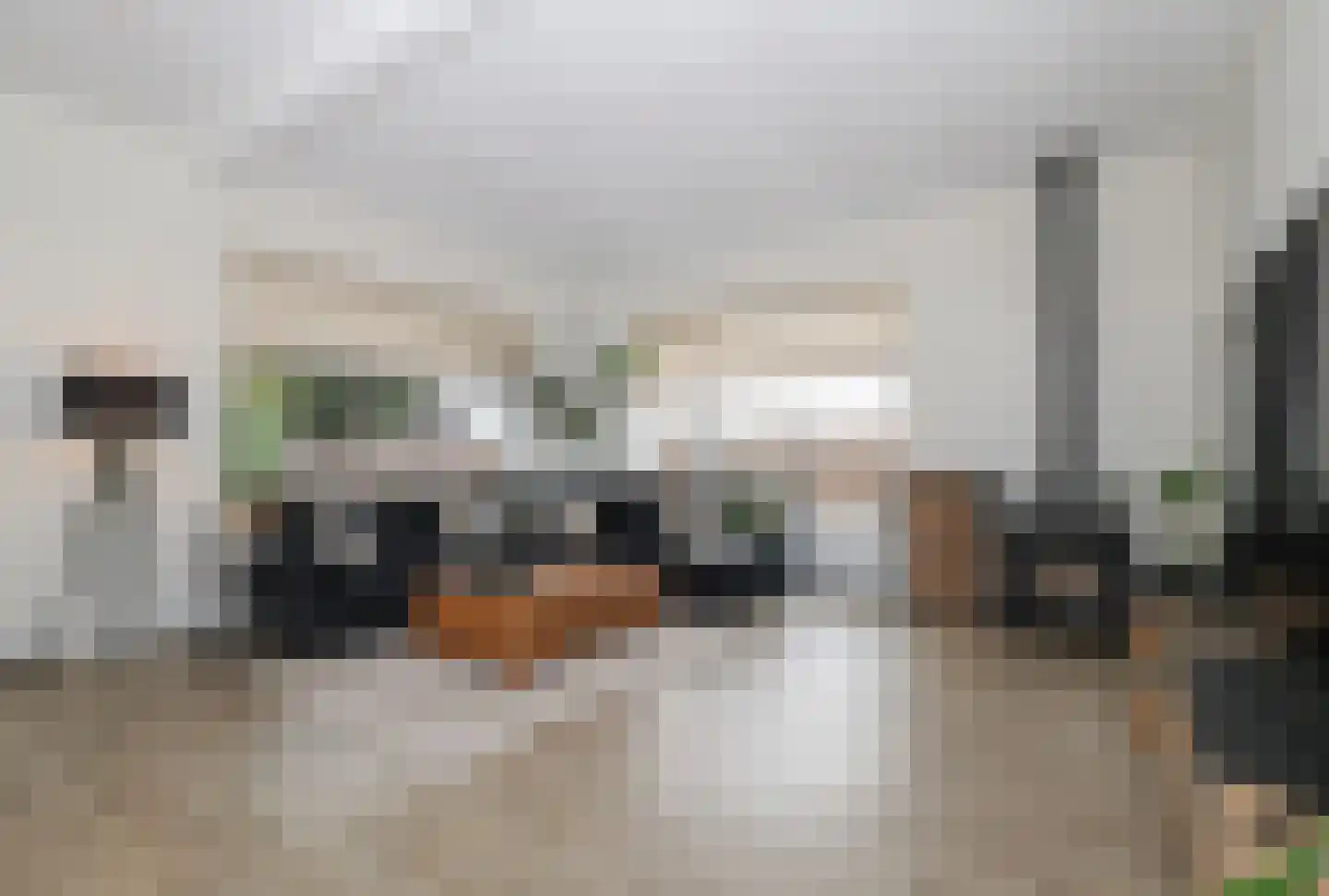 Dorpsweg 48 Rockanje thumbnail 4