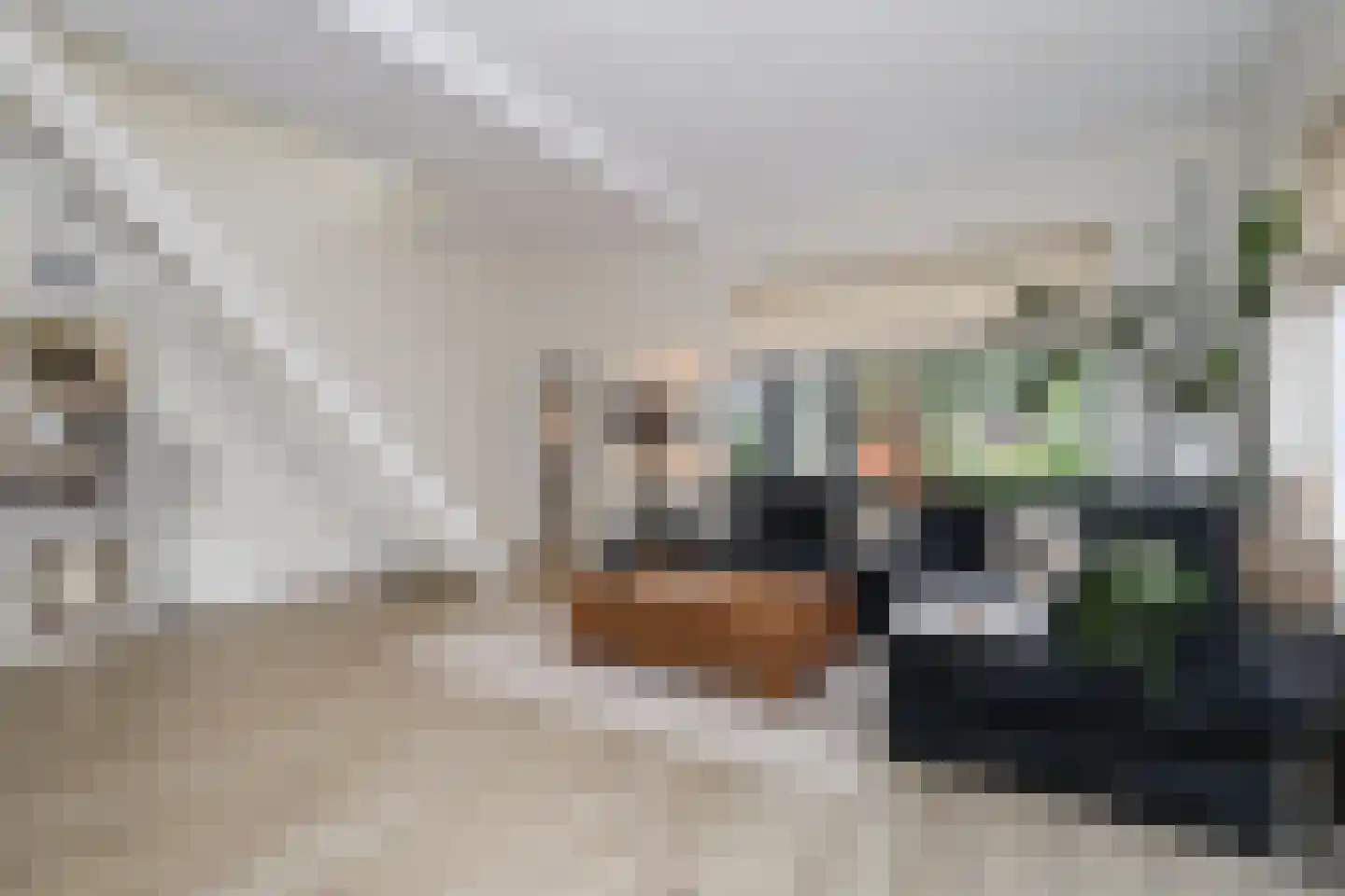 Dorpsweg 48 Rockanje thumbnail 41