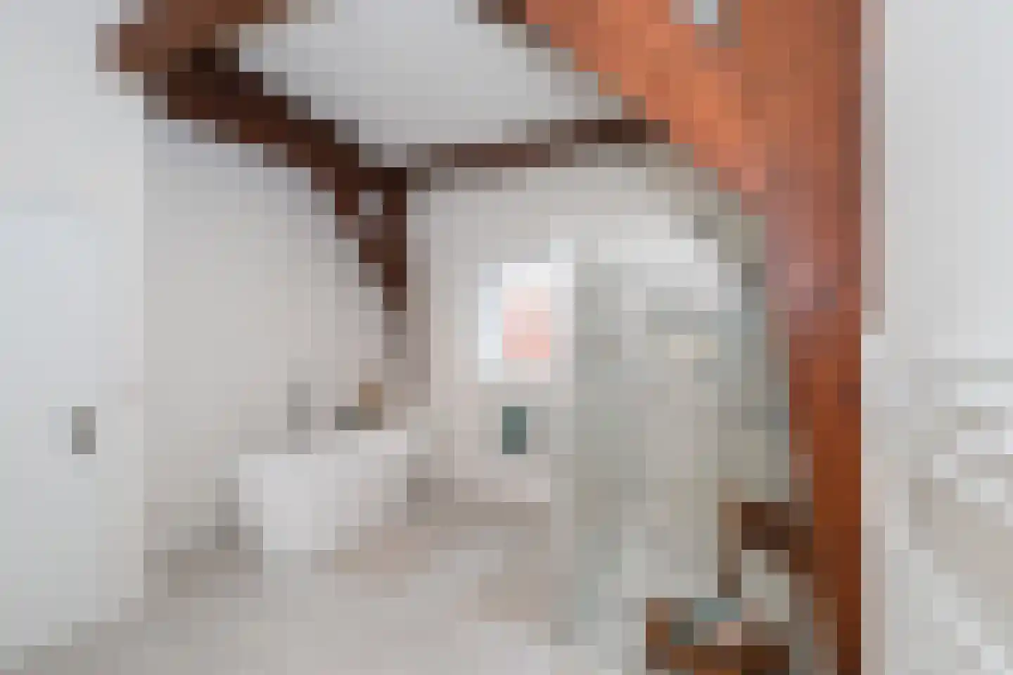 Dorpsweg 48 Rockanje thumbnail 5