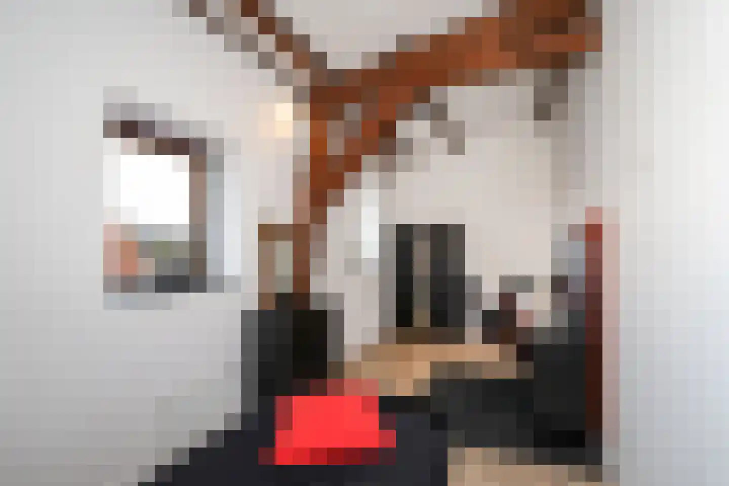 Dorpsweg 48 Rockanje thumbnail 57