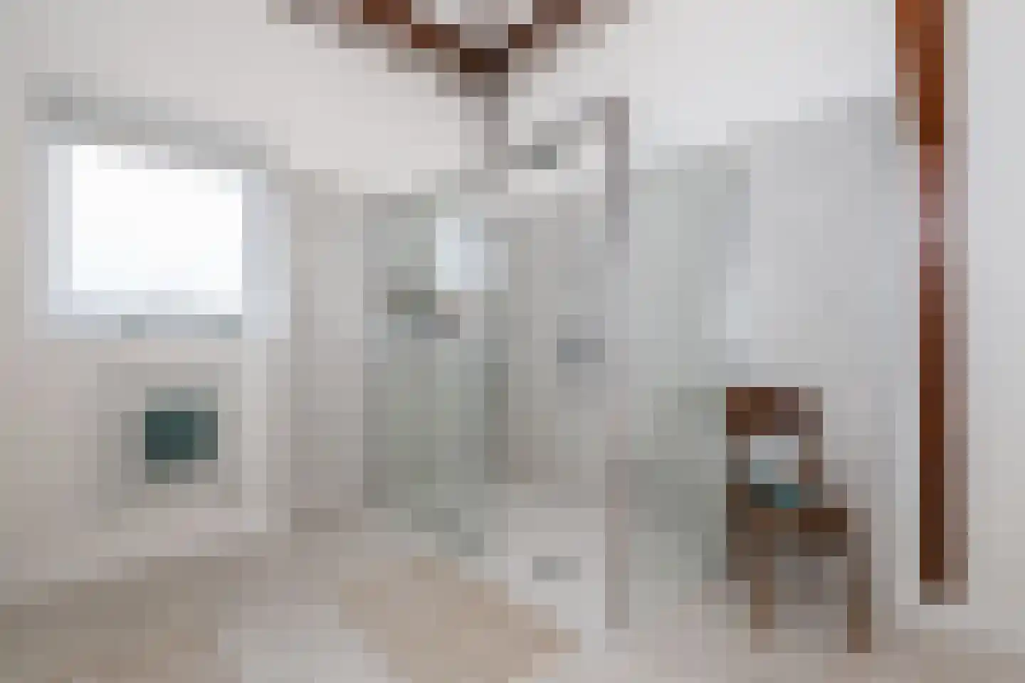 Dorpsweg 48 Rockanje thumbnail 61
