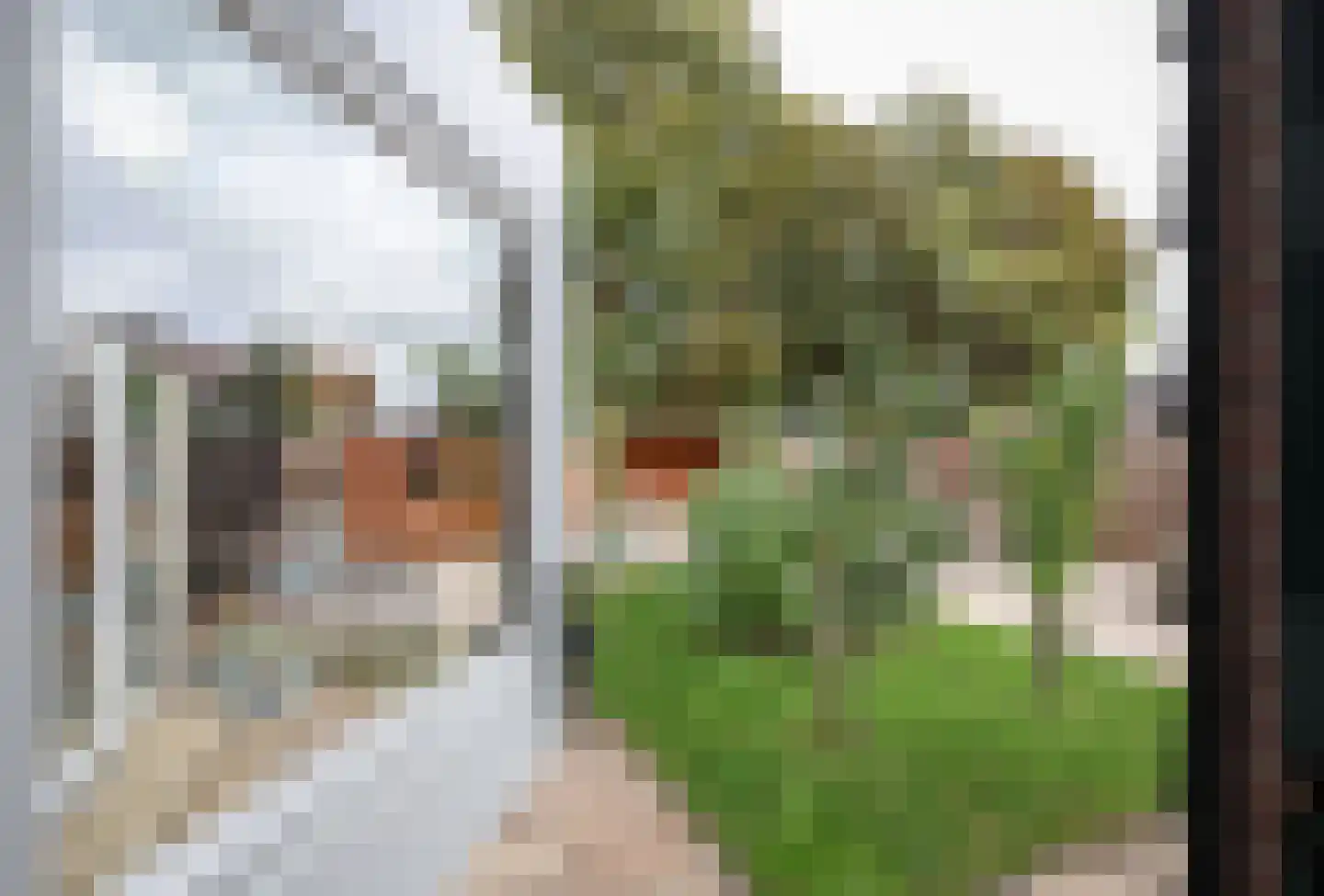 Dorpsweg 48 Rockanje thumbnail 65