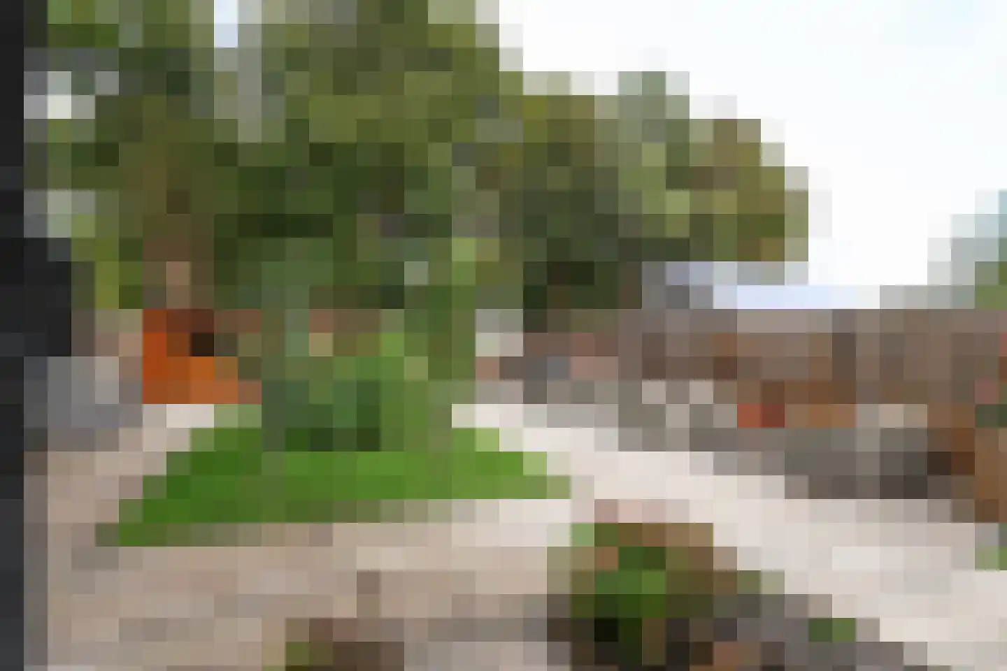 Dorpsweg 48 Rockanje thumbnail 69