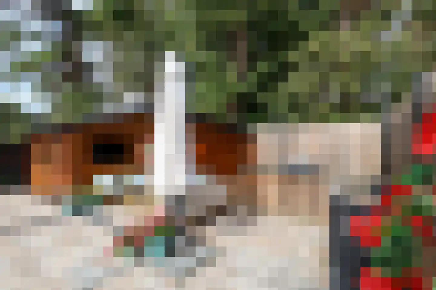 Dorpsweg 48 Rockanje thumbnail 75