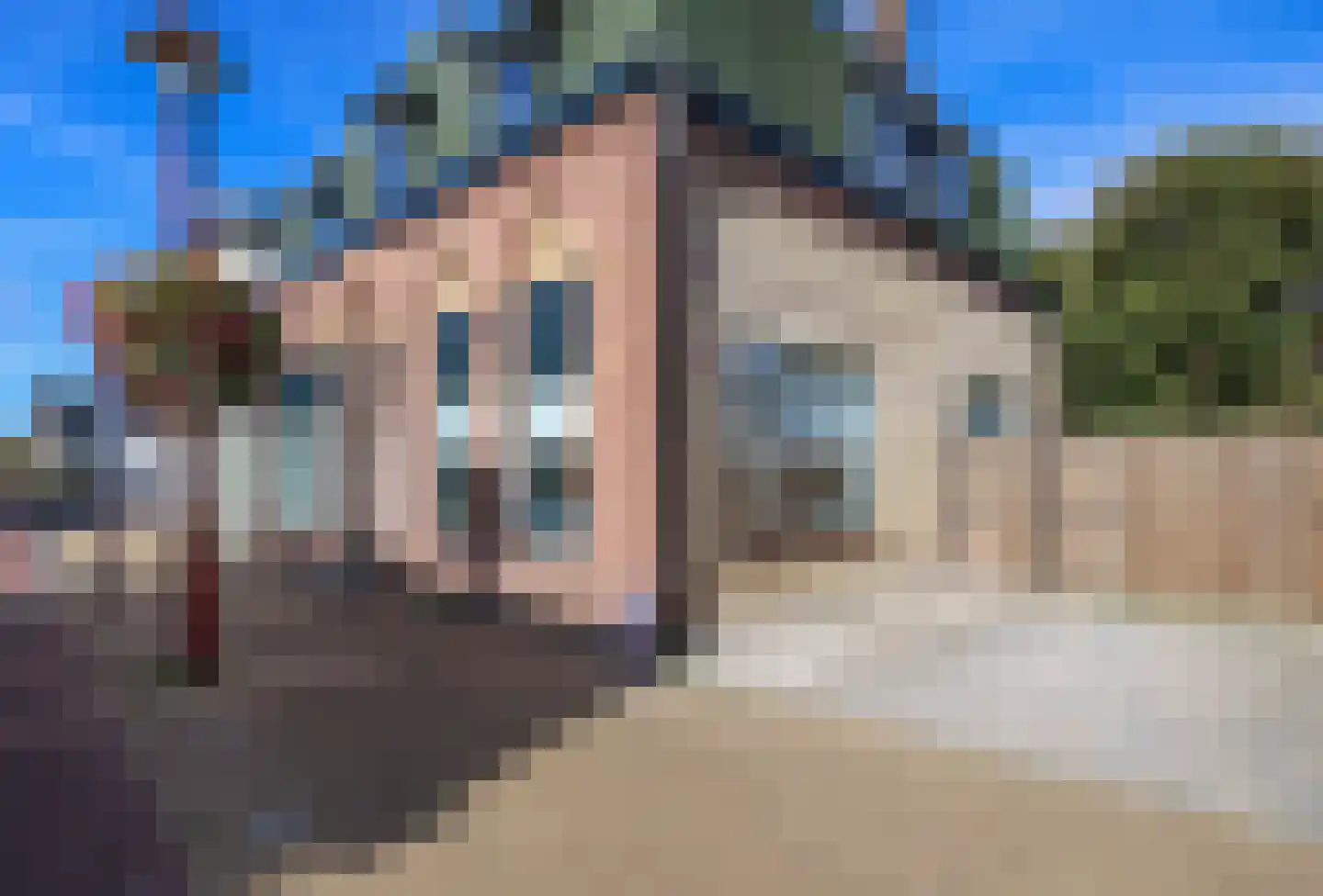 Dorpsweg 48 Rockanje thumbnail 9