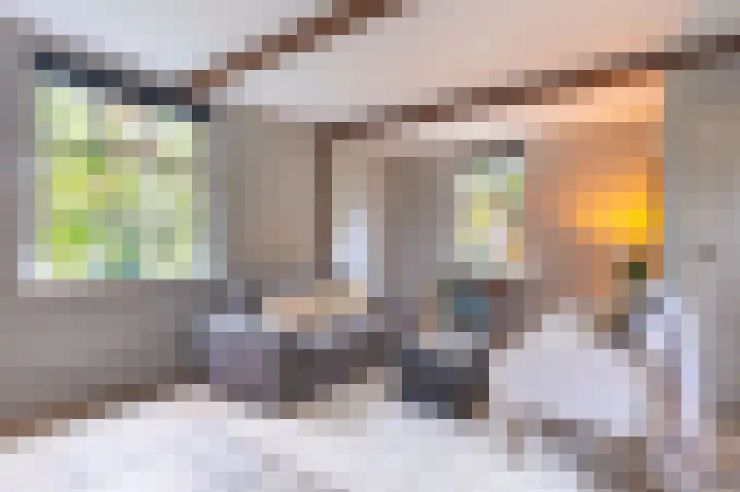 Dorpsweg 49 Twisk thumbnail 12