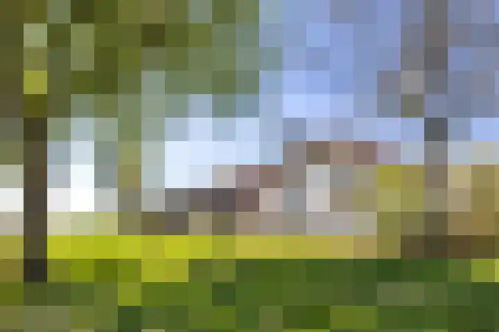 Dorpsweg 5 Simonshaven thumbnail 52