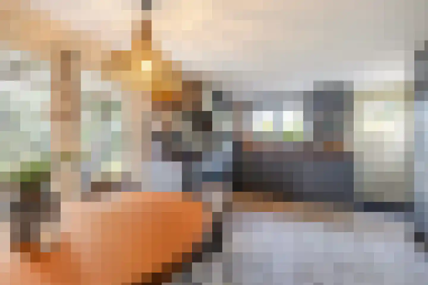 Dorpsweg 50 Ouddorp thumbnail 16