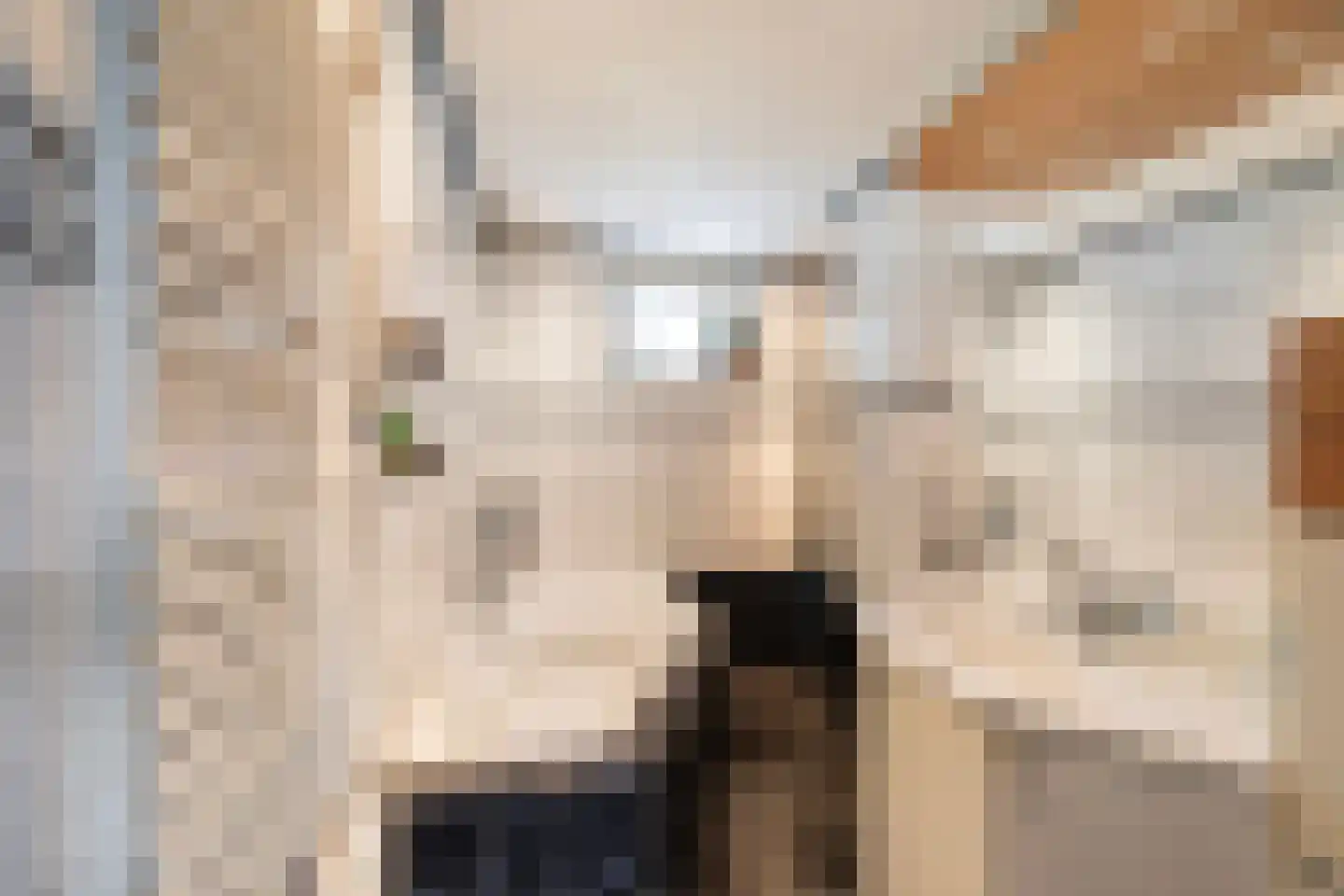 Dorpsweg 50 Ouddorp thumbnail 20