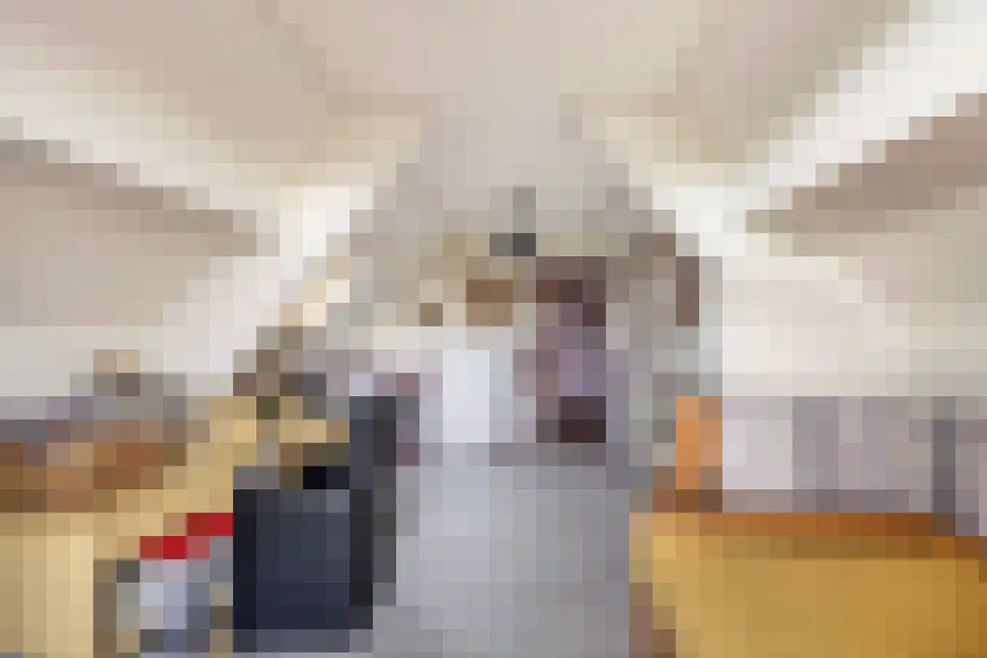 Dorpsweg 50 Ouddorp thumbnail 25
