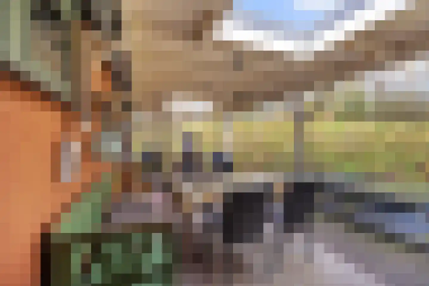 Dorpsweg 50 Ouddorp thumbnail 31