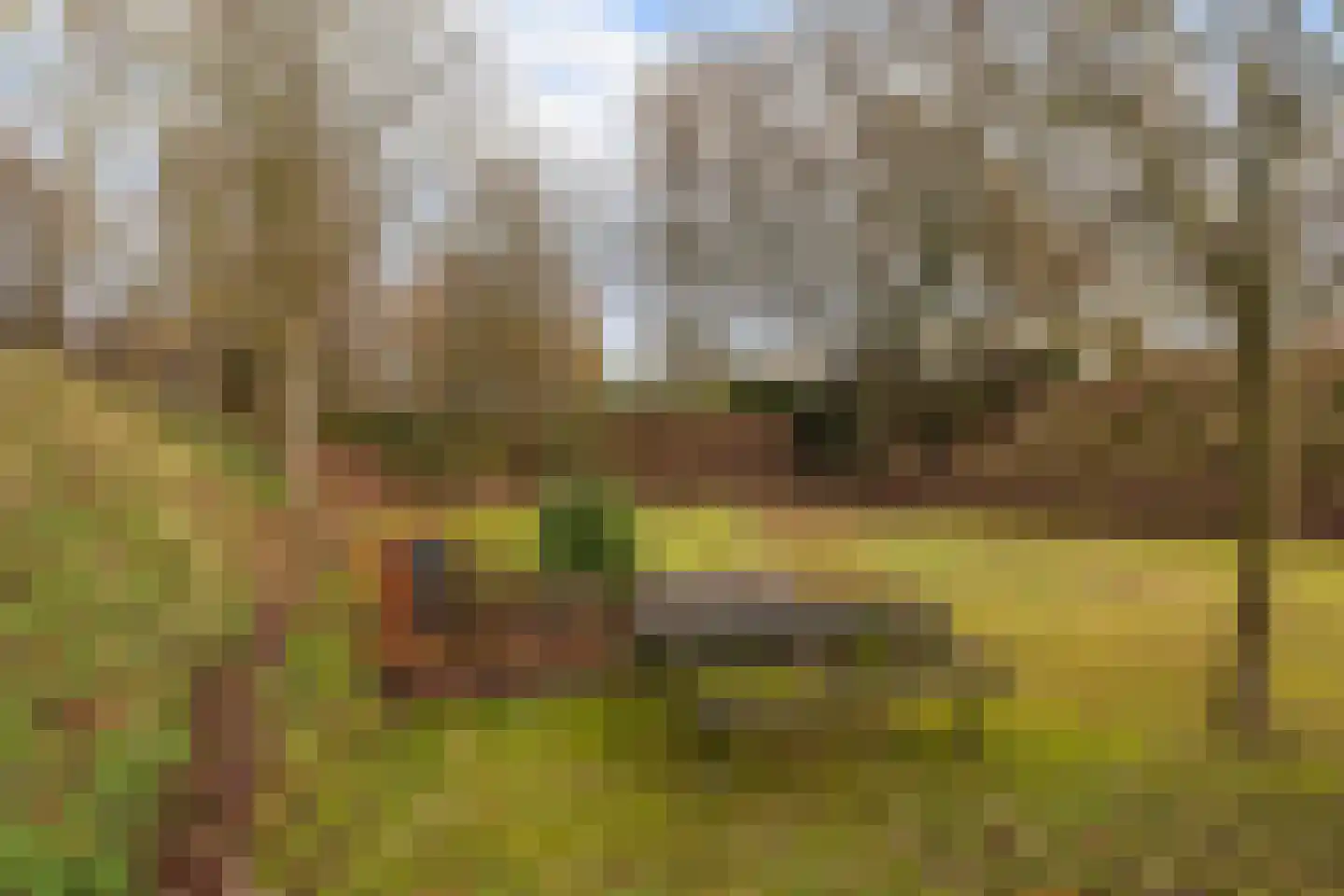 Dorpsweg 50 Ouddorp thumbnail 32