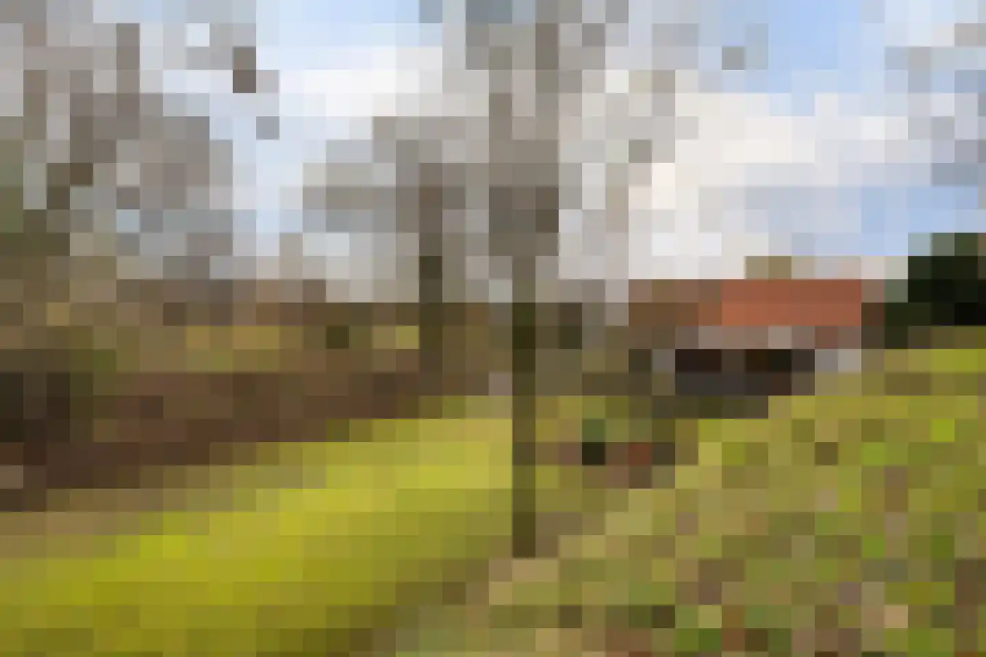 Dorpsweg 50 Ouddorp thumbnail 33