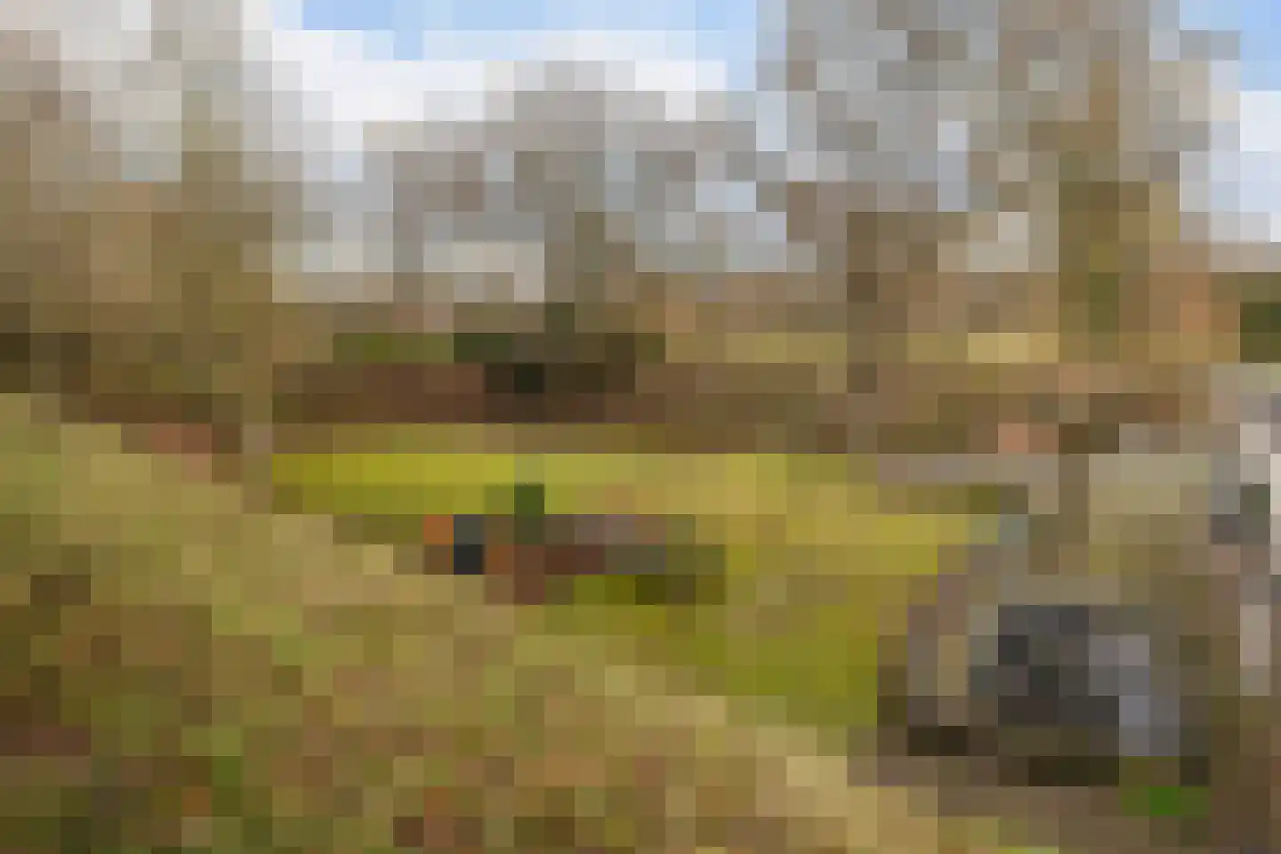 Dorpsweg 50 Ouddorp thumbnail 35
