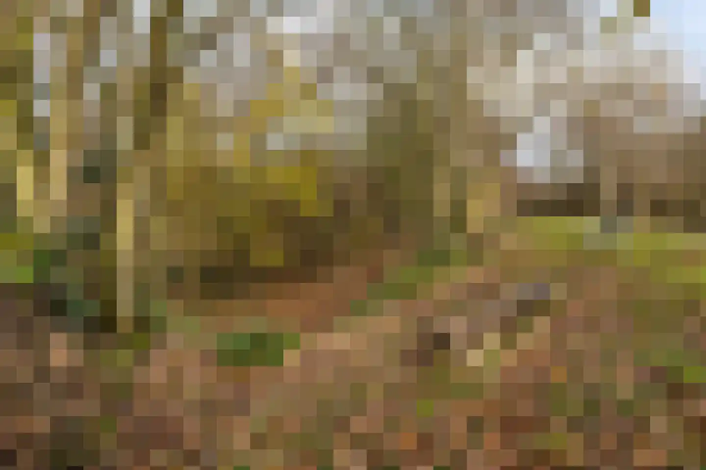 Dorpsweg 50 Ouddorp thumbnail 36