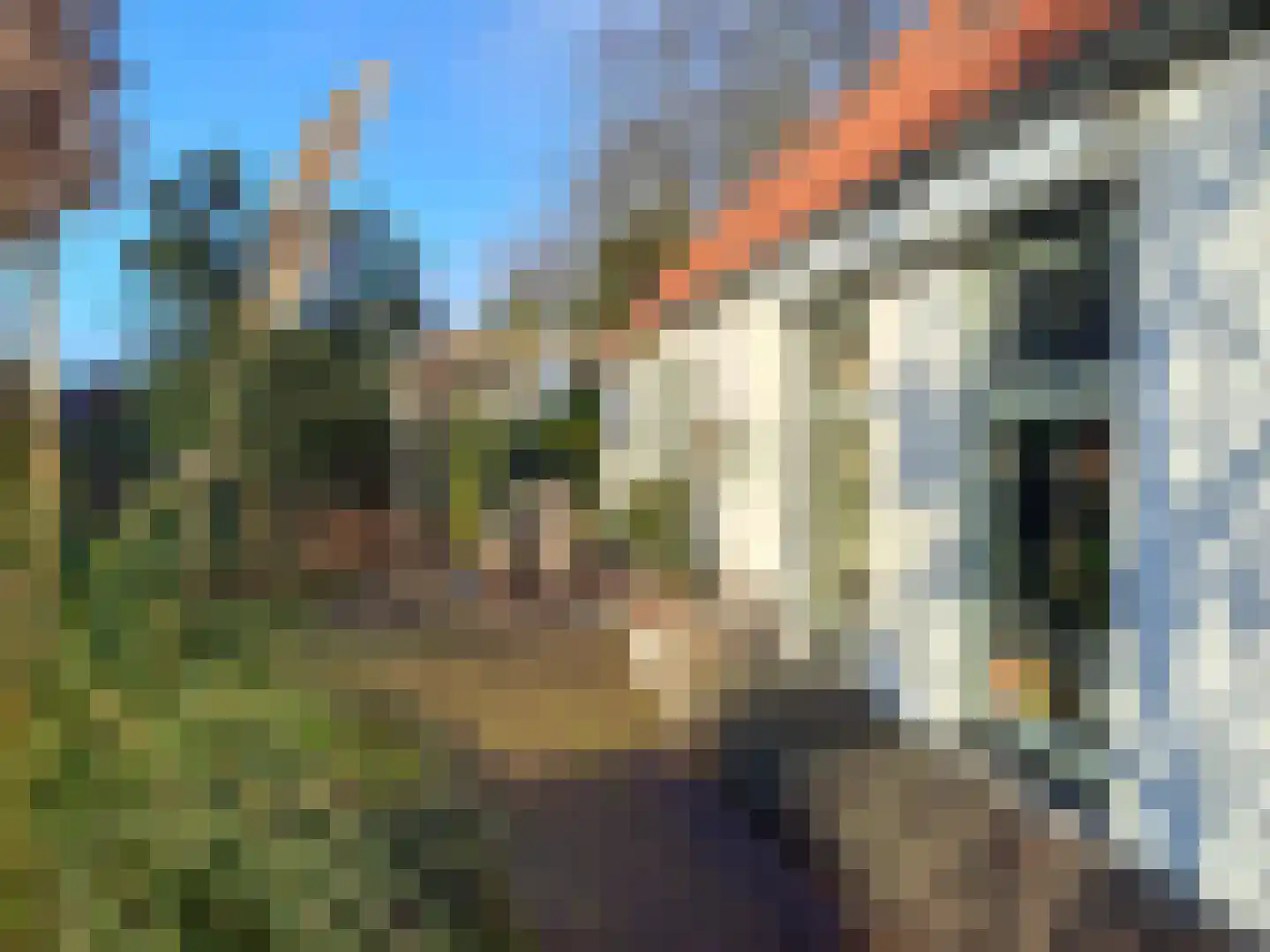 Dorpsweg 50 Ouddorp thumbnail 39