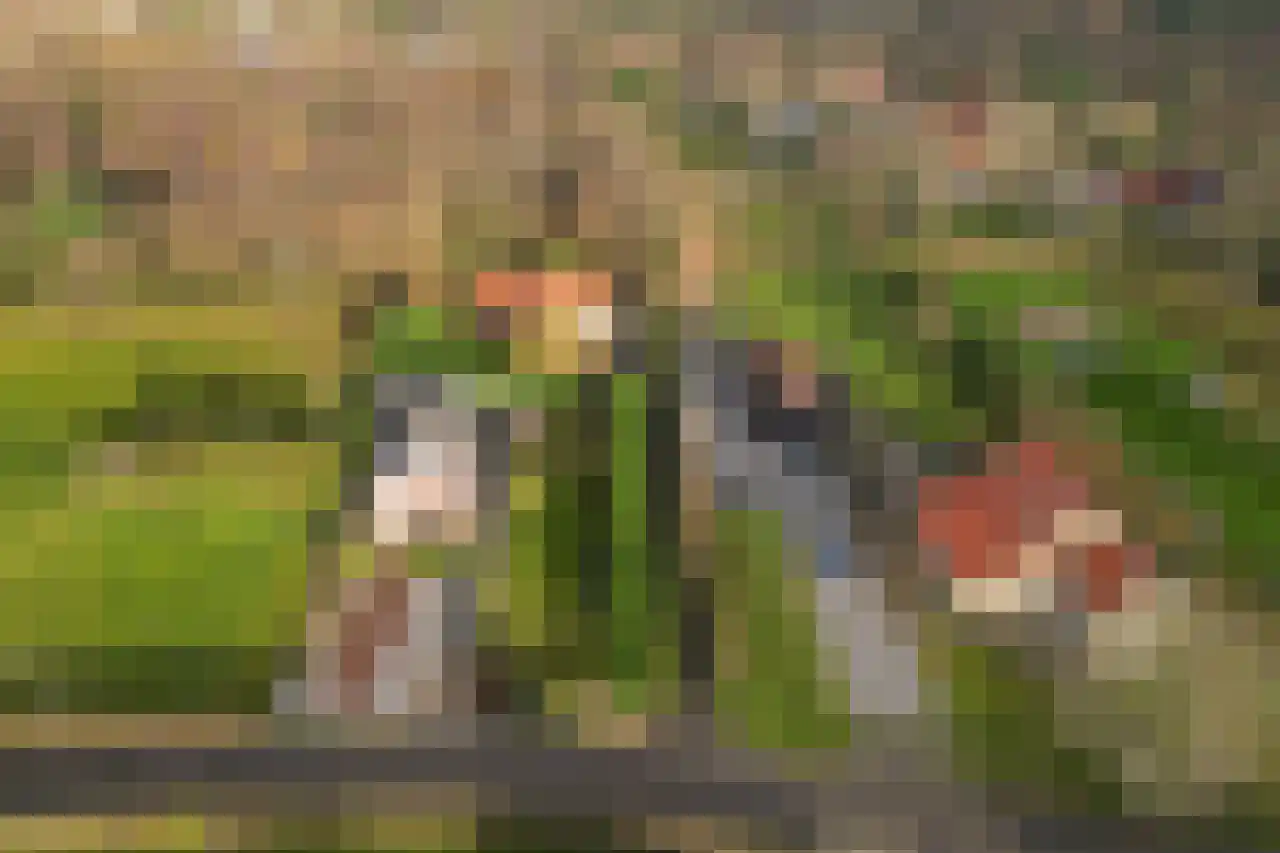 Dorpsweg 50 Ouddorp thumbnail 43