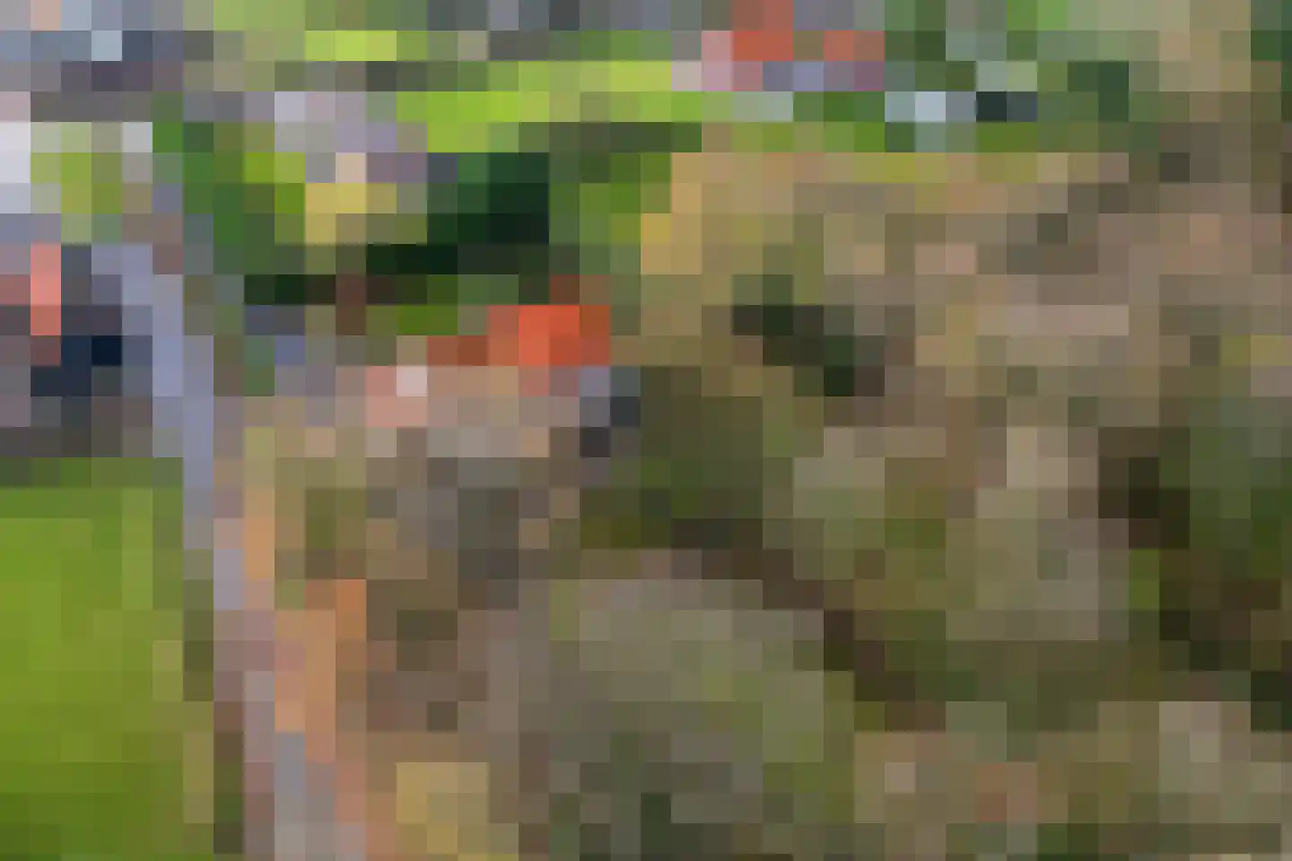 Dorpsweg 50 Ouddorp thumbnail 45