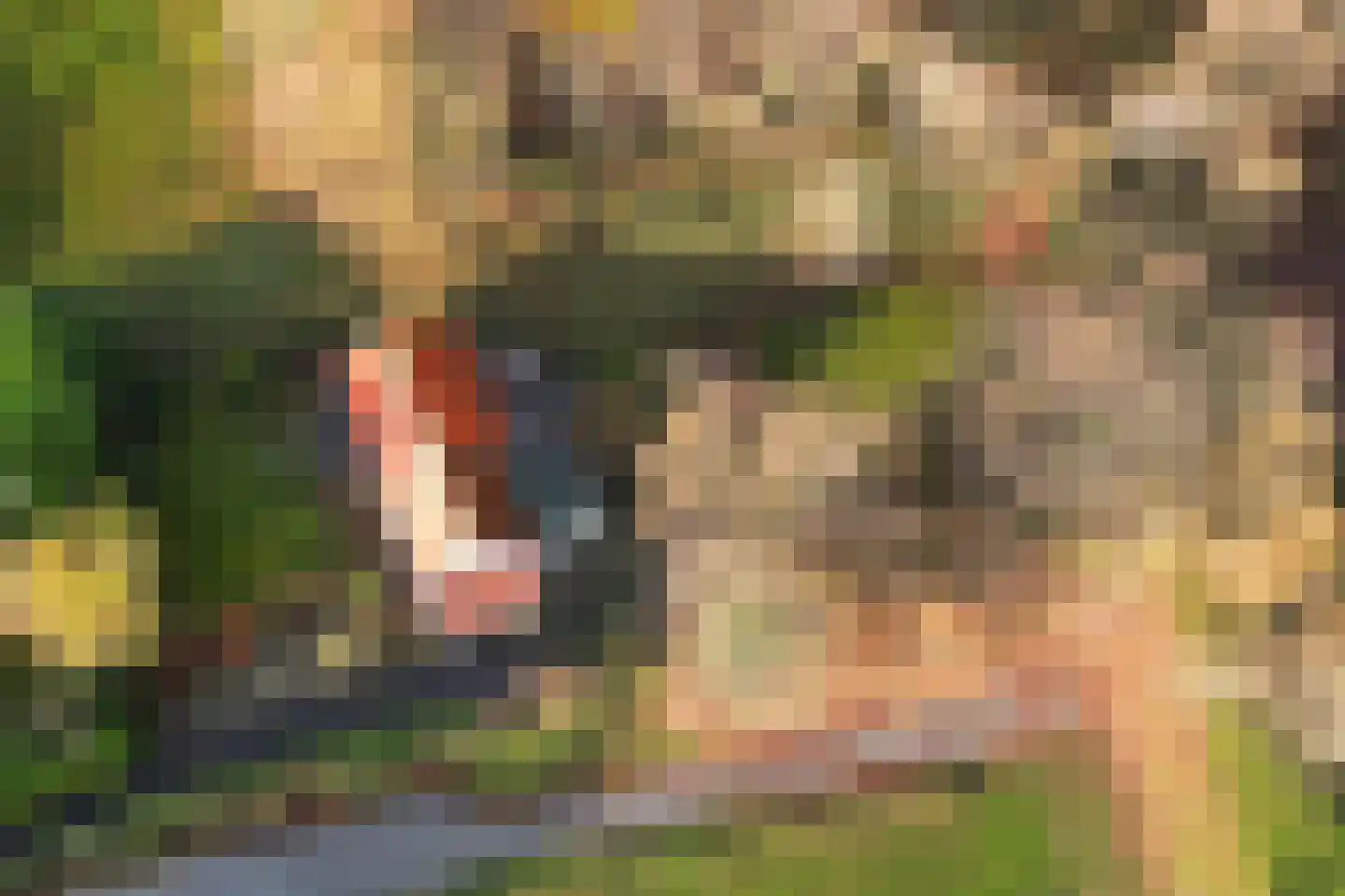Dorpsweg 50 Ouddorp thumbnail 46