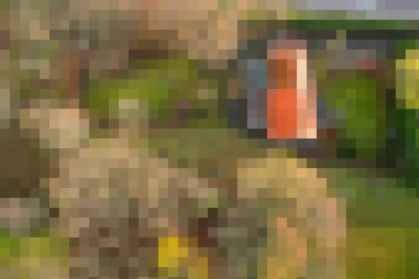 Dorpsweg 50 Ouddorp thumbnail 47