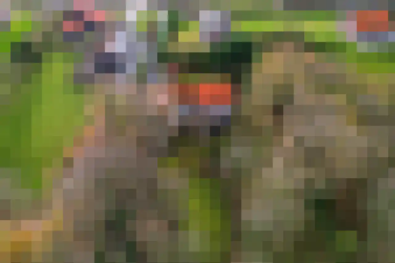 Dorpsweg 50 Ouddorp thumbnail 49