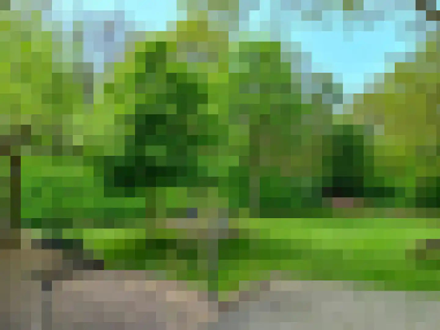 Dorpsweg 50 Ouddorp thumbnail 50