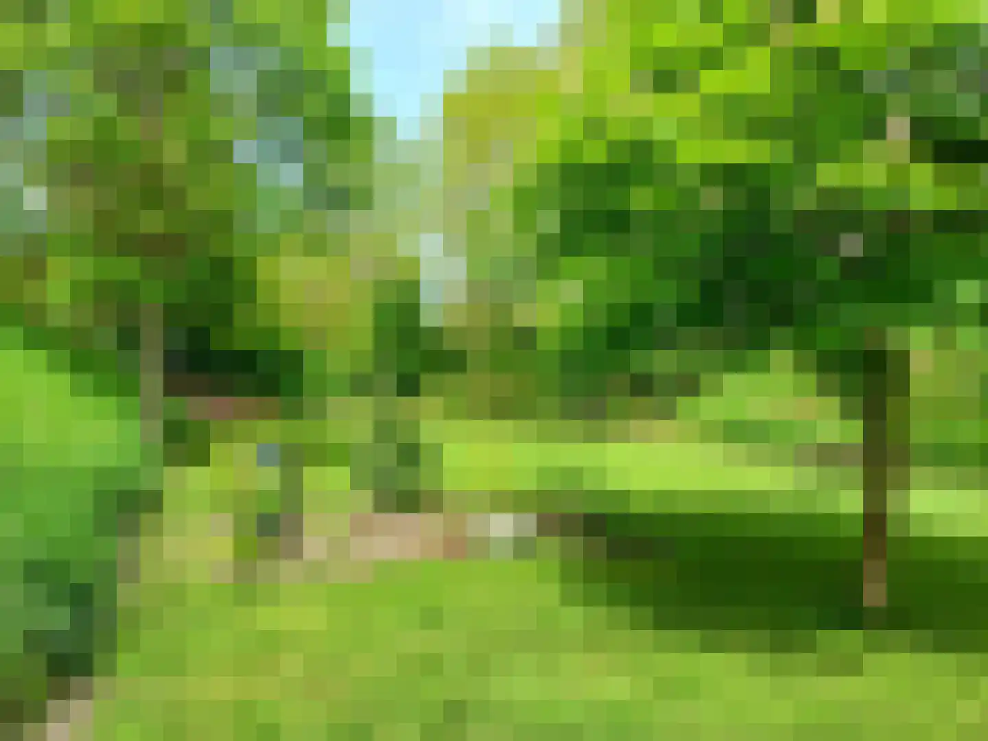 Dorpsweg 50 Ouddorp thumbnail 52
