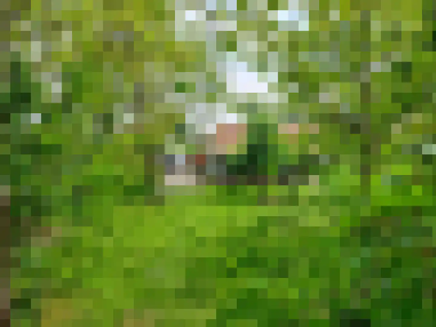 Dorpsweg 50 Ouddorp thumbnail 56