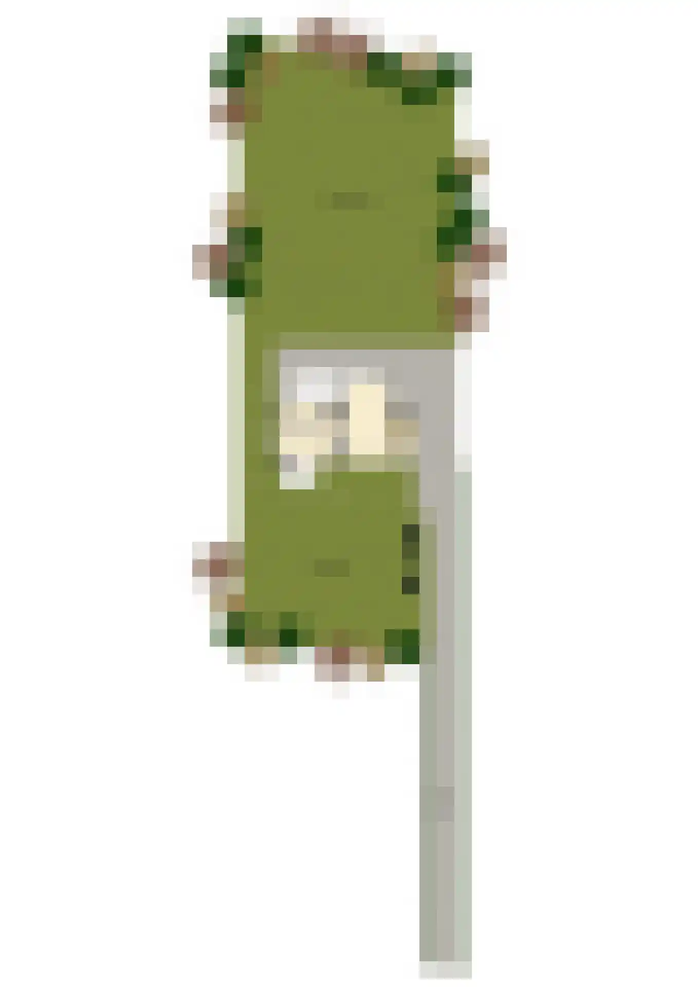 Dorpsweg 50 Ouddorp thumbnail 57