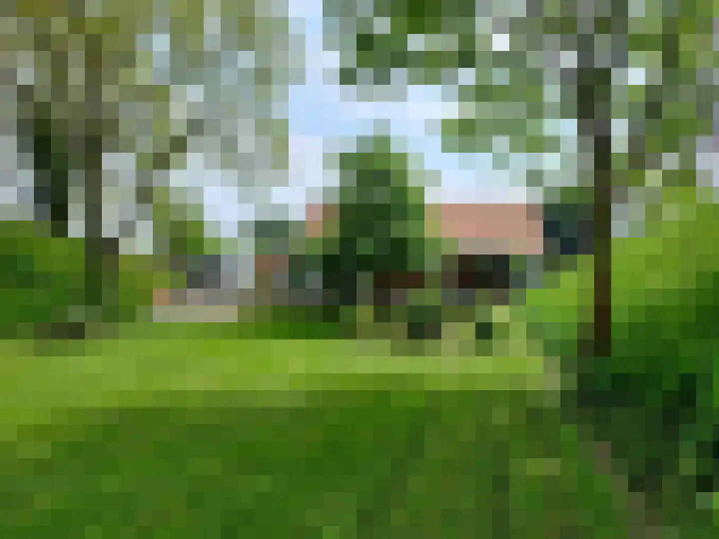 Dorpsweg 50 Ouddorp thumbnail 6