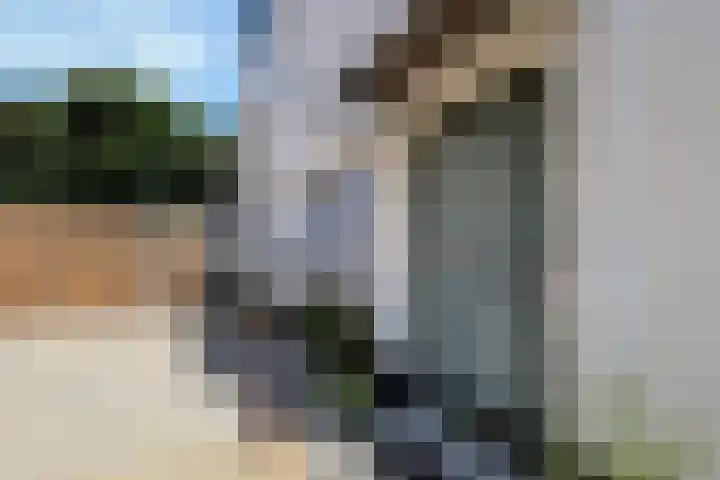 Dorpsweg 50 Rockanje thumbnail 12