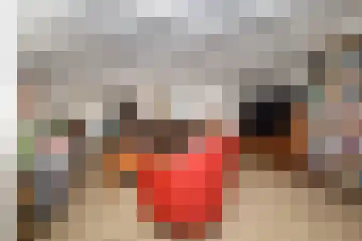 Dorpsweg 50 Rockanje thumbnail 15