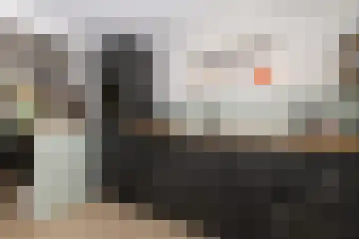 Dorpsweg 50 Rockanje thumbnail 27
