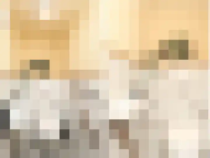 Dorpsweg 50 Rockanje thumbnail 31