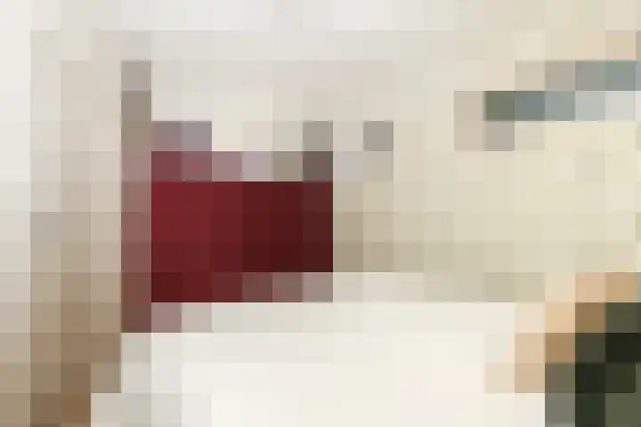 Dorpsweg 50 Rockanje thumbnail 35