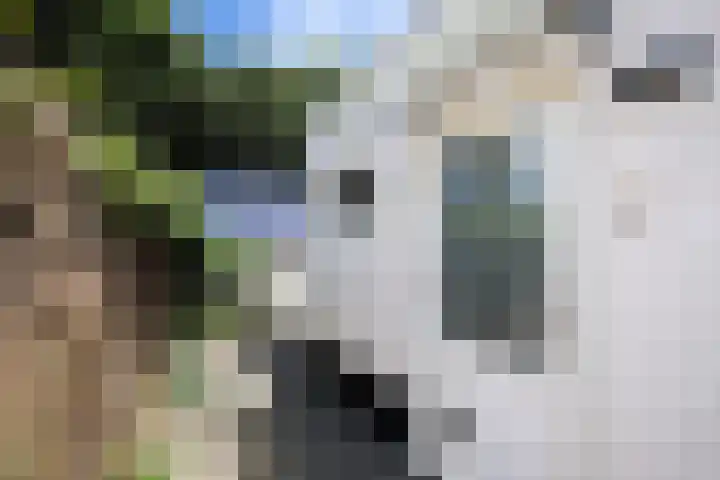 Dorpsweg 50 Rockanje thumbnail 39