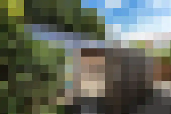 Dorpsweg 50 Rockanje thumbnail 40