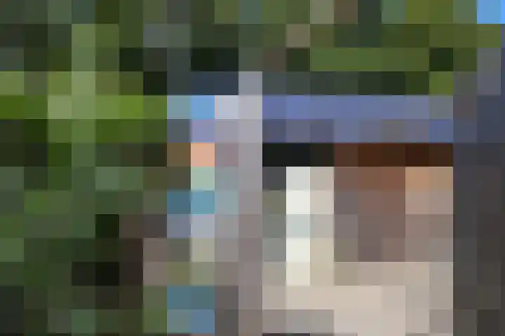 Dorpsweg 50 Rockanje thumbnail 41
