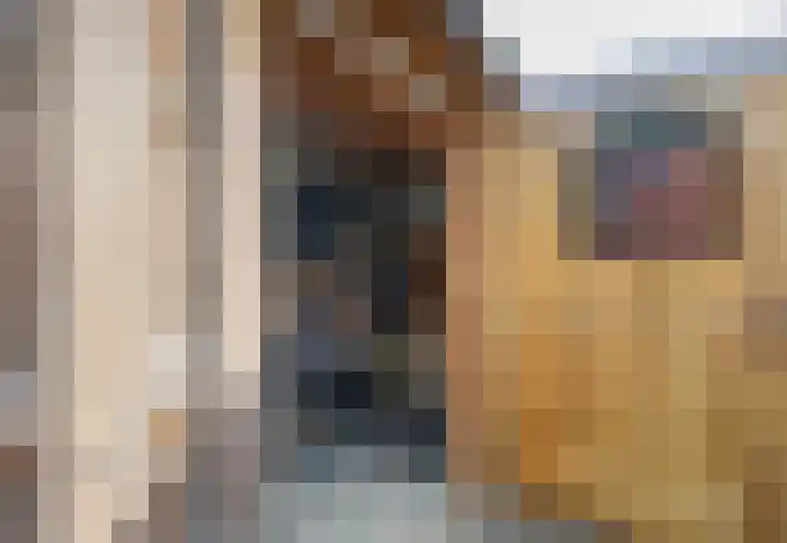 Dorpsweg 50 Rockanje thumbnail 42