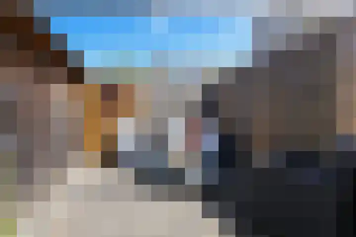 Dorpsweg 50 Rockanje thumbnail 43