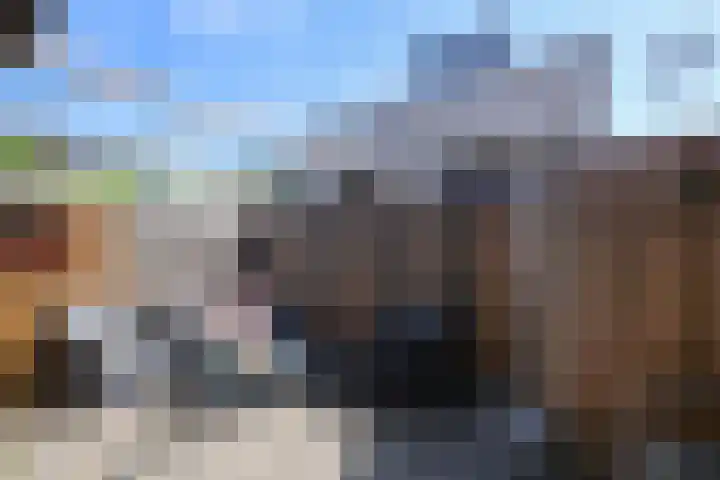 Dorpsweg 50 Rockanje thumbnail 44