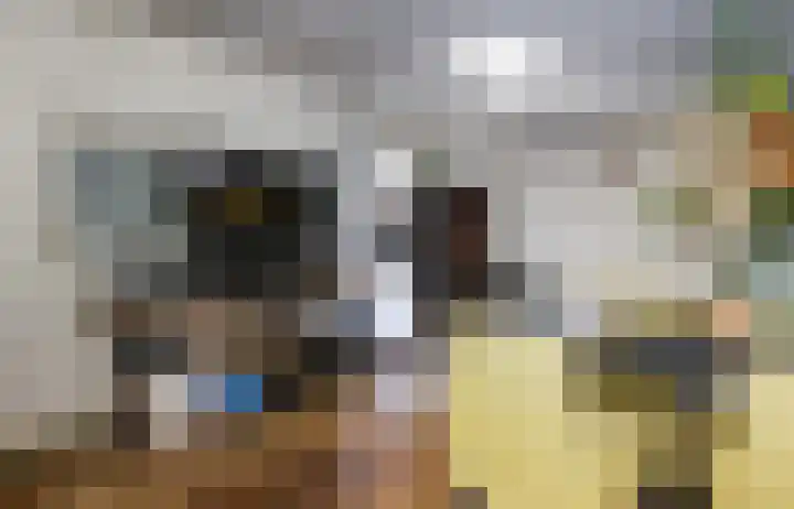 Dorpsweg 50 Rockanje thumbnail 51