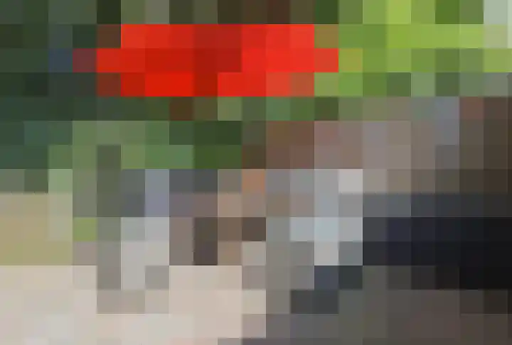 Dorpsweg 50 Rockanje thumbnail 56