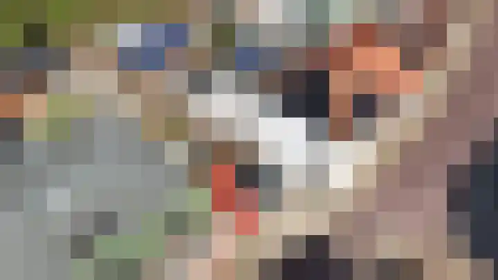 Dorpsweg 50 Rockanje thumbnail 7