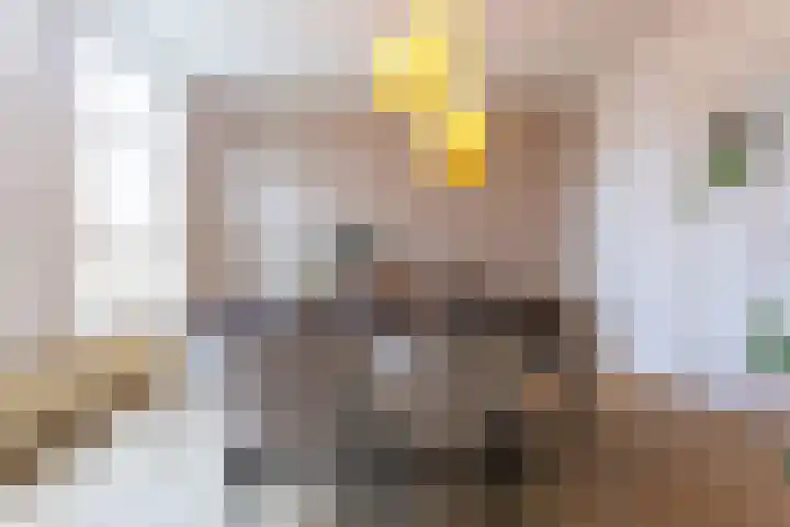 Dorpsweg 50 Twisk thumbnail 14