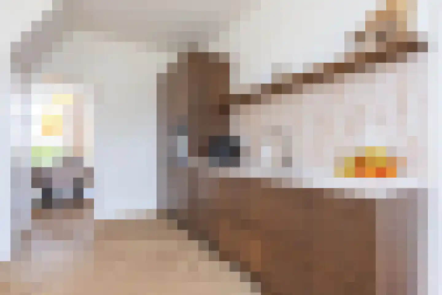 Dorpsweg 50 Twisk thumbnail 20