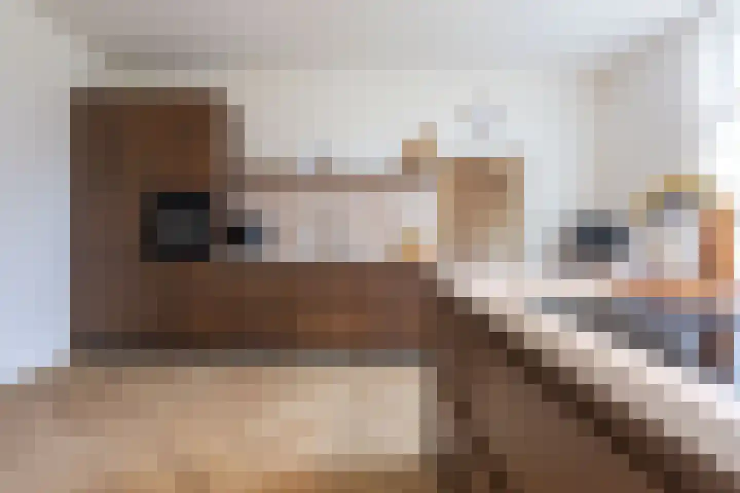 Dorpsweg 50 Twisk thumbnail 21