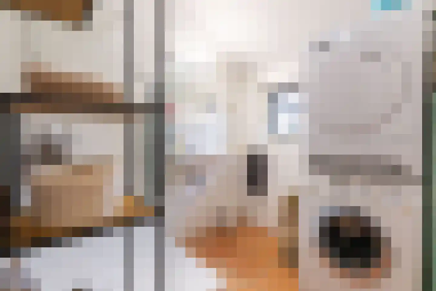 Dorpsweg 50 Twisk thumbnail 29